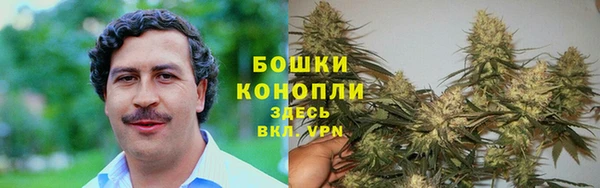 ГАЛЛЮЦИНОГЕННЫЕ ГРИБЫ Коряжма