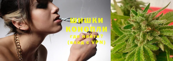 стафф Корсаков
