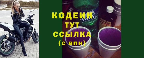 стафф Корсаков