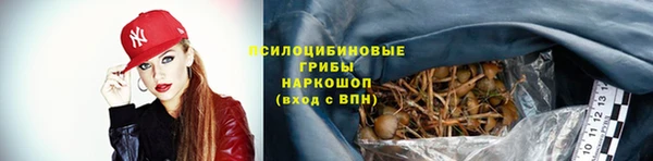 ГАЛЛЮЦИНОГЕННЫЕ ГРИБЫ Коряжма