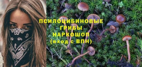 кокс Костерёво