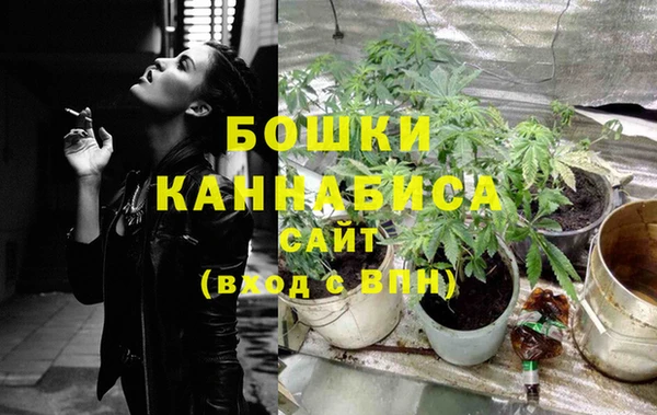 стафф Корсаков