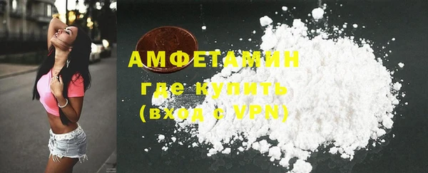 ГАЛЛЮЦИНОГЕННЫЕ ГРИБЫ Коряжма